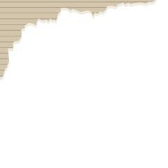 Fototapeta premium Torn Paper Border