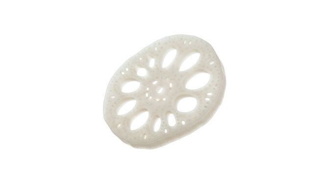 Pristine white lotus root slice with intricate natural patterns, isolated on a bright background.