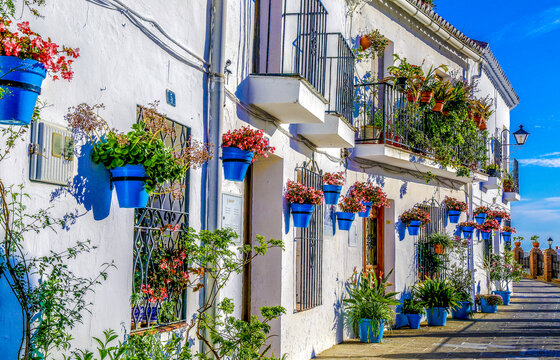 Charming white Andalusian village street adorned with vibrant blue flower pots and lush greenery
