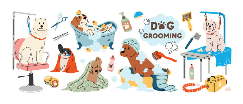 Dog grooming with tools for hair grooming care, cutting fur, bathing and washing. Vector illustration for pet care salon in flat cartoon style.