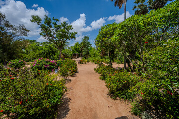 Fototapeta premium Garden pathway with flowering bushes under blue sky