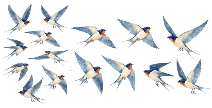 A charming watercolor collection of flying swallows for spring decor and nature design.