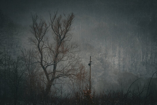 In the drifting snow a leafless giant lifts its arms near a solitary post. Hushed slopes loom behind with layered shadows as the valley breathes slowly in a contemplative winter hush