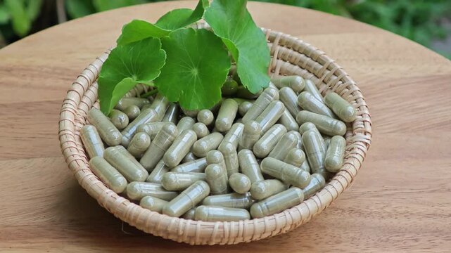 Asiatic pennywort. Centella asiatica capsules.