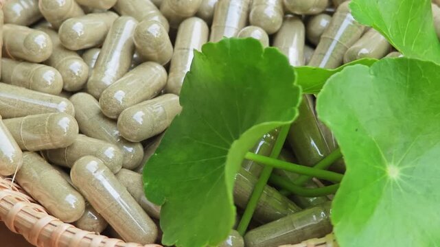 Asiatic pennywort. Centella asiatica capsules.