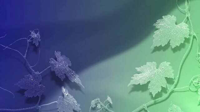 Subtle Nature Background Animation An understated and elegant duotone botanical animation, perfect as a clean background with continuous gradient shifts and ethereal shimmer.
