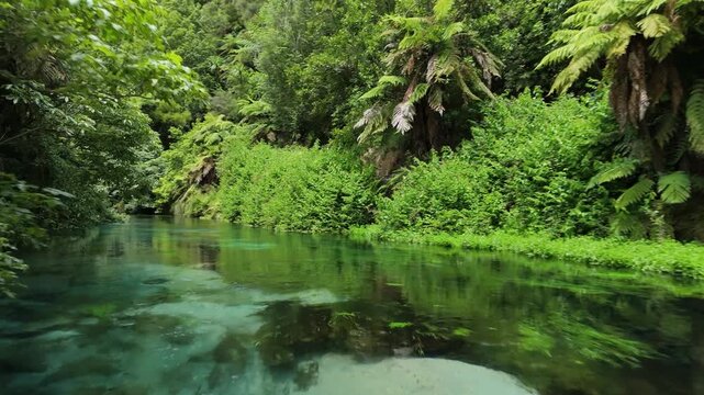 Aerial drone shot of Blue Spring Putaruru, crystal clear turquoise water in lush New Zealand forest