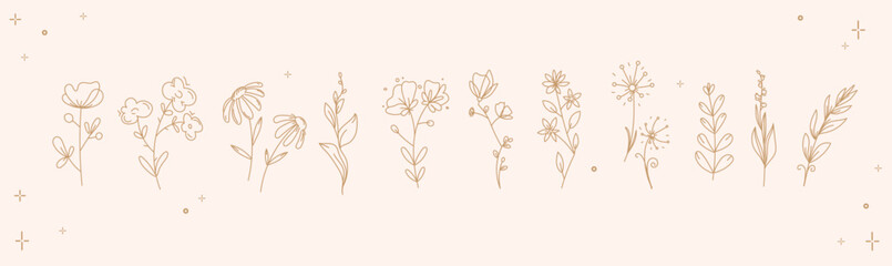 Minimalist floral line art set with delicate wildflowers and botanical elements on soft beige background for wedding invitations, branding, packaging, greeting cards, stationery, spring design.Vector © Ilonka eva