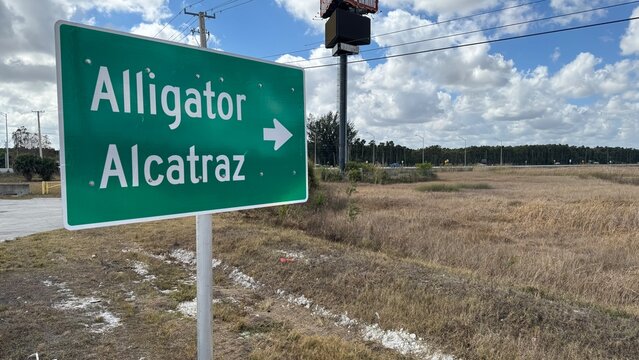 A green sign points to Alligator and Alcatraz on the side of a road during the day in Florida