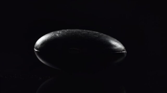 Dark Egg's Secrets: A captivating macro shot reveals a mysterious black egg, subtly lit against a deep black background, its smooth surface hinting at hidden potential.