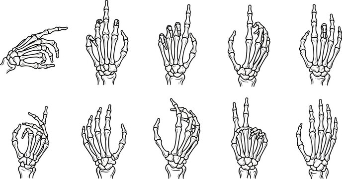 Skeleton Hand Pointing Images – Browse 4,580 Stock Photos, Vectors, and ...