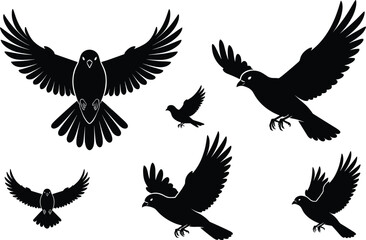 Obraz premium Bird silhouette illustration, six flying birds in motion, wings spread vector art, diverse flight positions, nature concept, wildlife design, artistic composition