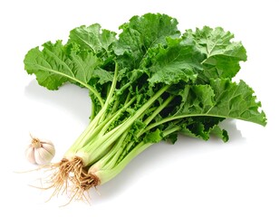A vibrant bunch of fresh, leafy greens with long stems and roots alongside a garlic bulb on a clean white backdrop