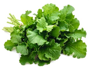 Fototapeta premium A vibrant bunch of leafy green vegetables, tightly bound with twine, showcasing a fresh and healthy food option