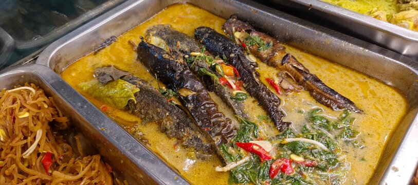 Traditional Indonesian spicy catfish curry (Mangut Lele) in a metal tray. Authentic Southeast Asian food background for restaurant and culinary design.