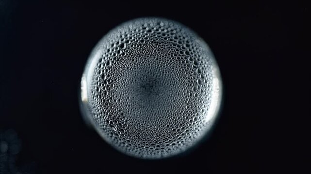 Bubbles in a Circle: A captivating close-up view unveils a circular formation of frothy bubbles, offering a mesmerizing glimpse into the intricate patterns and textures found in the world.
