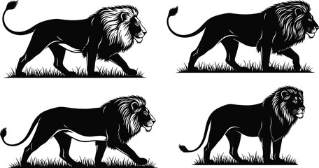 Majestic Black Lion Silhouette Set Featuring King of the Jungle Walking through Grass with Detailed Manes Isolated on White Background for Wildlife Nature Design © MstHazera