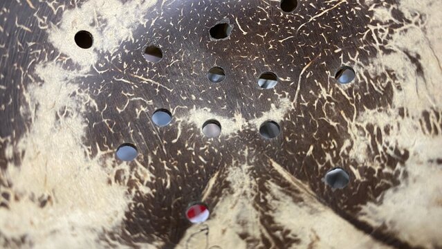 Close-up of a hollow coconut shell texture with a unique natural pattern, showcasing organic fiber details and a rustic feel as a natural backdrop.