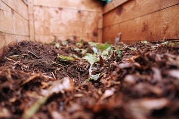 Compost Bin Interior Showing Organic Waste in Process
