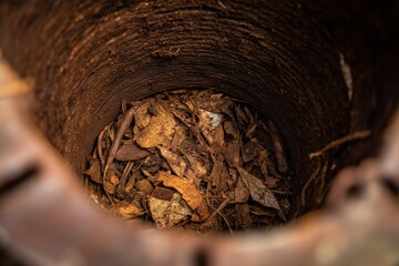 Compost Bin Interior Showing Organic Waste in Process