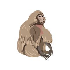 Fototapeta premium Vector illustration of a light brown monkey sitting.