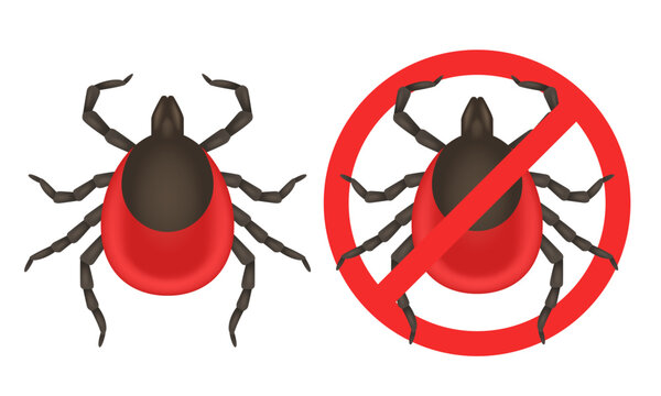 Beware of ticks. Vector illustration isolated on white background.