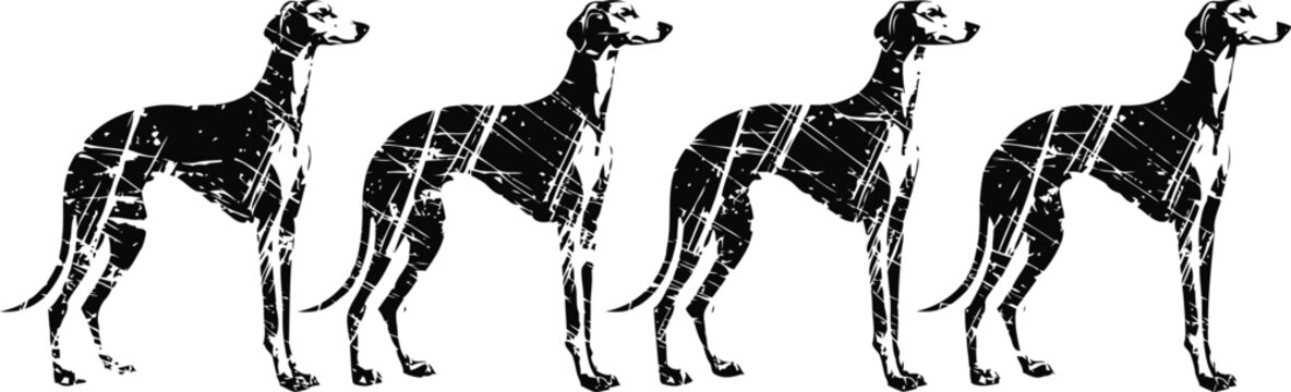 four black greyhound silhouettes standing in a row with shadow reflection on white background