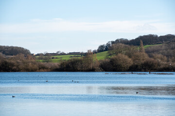 A wintery landscape view over the wetlands at the Attenborough Nature Reserve in Nottingham, UK.