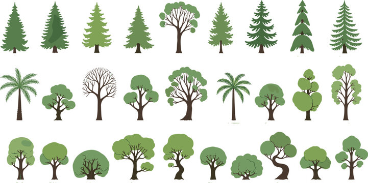 Various green trees collection including pine palm and deciduous vector set