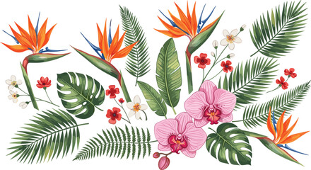Tropical flowers and palm leaves botanical vector illustration collection © EdGe Creative