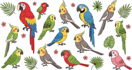 Obraz premium Colorful tropical parrots and cockatiels collection vector illustration set