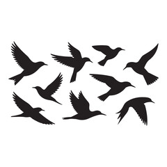 Obraz premium A flock of black birds in flight silhouettes against a white backdrop