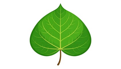 A vibrant illustration depicts a green heart-shaped leaf with detailed veins, set against a clean white backdrop, creating a simple, bold design