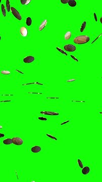 Rain of Golden Coins Falling Down - Isolated on Green Background - 3d 4k Vertical Animation (2160 x 3840px)