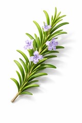 Obraz premium A semi-realistic 3D rosemary sprig with slender green leaves and small soft purple flowers. With leaf layering, smooth shading, delicate petal detail, and natural highlights