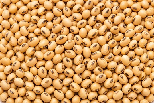 Full-frame close-up of many beige soybeans with small dark hilum marks, natural texture, evenly spread filling entire frame, realistic food photography style, warm neutral tones