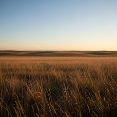 Obraz premium Golden meadow at sunset stretching toward the horizon landscape vista