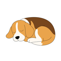 Sleeping Beagle Dog Illustration