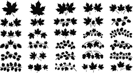 Black silhouettes of maple leaves and berries on white background © Mofajjol