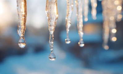 Icicles hanging from a roof in winter with water droplets forming below