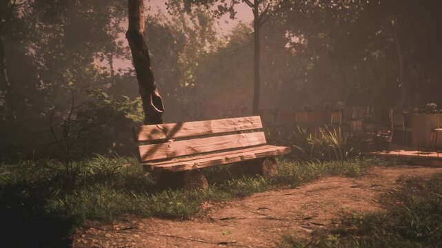 A rustic wooden bench sits quietly in a peaceful forest clearing, surrounded by lush greenery. Soft golden light filters through trees, creating a calm atmosphere.