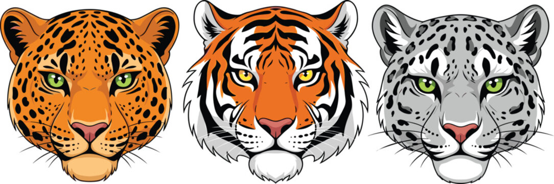 Wild Cat Faces: Leopard Tiger and Snow Leopard in a Bold Cartoon Style
