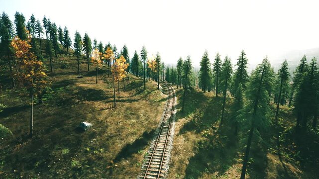Winding railway tracks meander through a tranquil forest filled with green and yellow foliage. Soft sunlight illuminates the landscape, enhancing the peaceful atmosphere.
