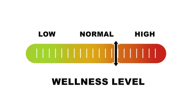 Wellness level indicator scale. Low normal & high meter infographic animation on white background. Showing high wellness level color gauge indicator for health and lifestyle monitoring.