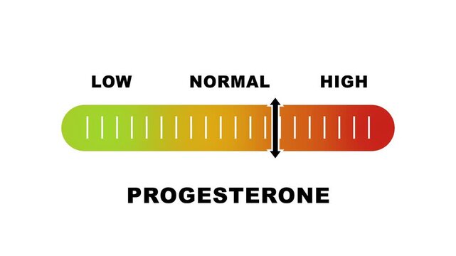 Progesterone level indicator scale. Low normal & high meter infographic animation on white background. Showing high progesterone level color gauge indicator for medical hormone and healthcare analysis
