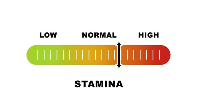 Stamina level indicator scale. Low Normal High meter infographic animation on white background. Animation showing high stamina level color gauge indicator for fitness and endurance monitoring.