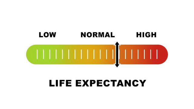 Life expectancy level indicator scale. Low Normal High meter infographic animation on white background. Animation showing high life expectancy level color gauge indicator for health and longevity.