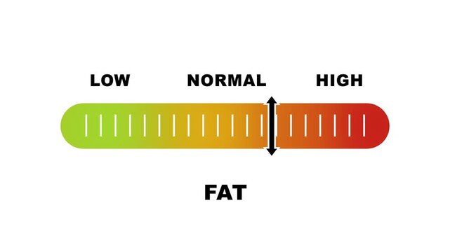 Fat level indicator scale. Low normal high meter infographic animation on white background. Showing high fat level color gauge indicator for body composition and health monitoring.