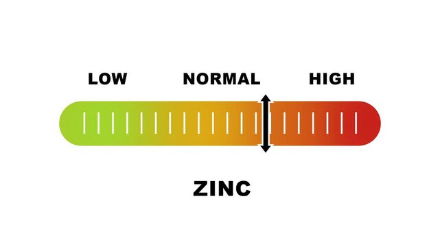 Zinc level indicator scale. Low normal & high meter infographic animation on white background. Showing high zinc level color gauge indicator for nutrition and immune health monitoring.