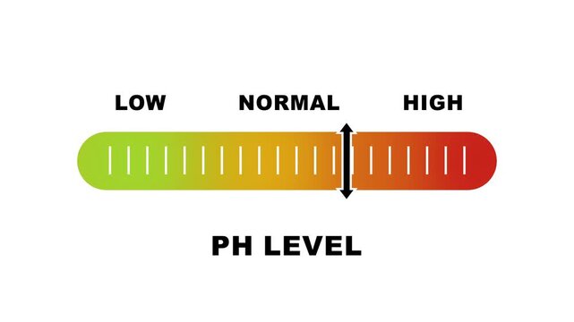PH level indicator scale. Acidic Neutral Alkaline Low normal high stress meter infographic animation on white background. Animation showing high pH level color gauge indicator for health monitoring.